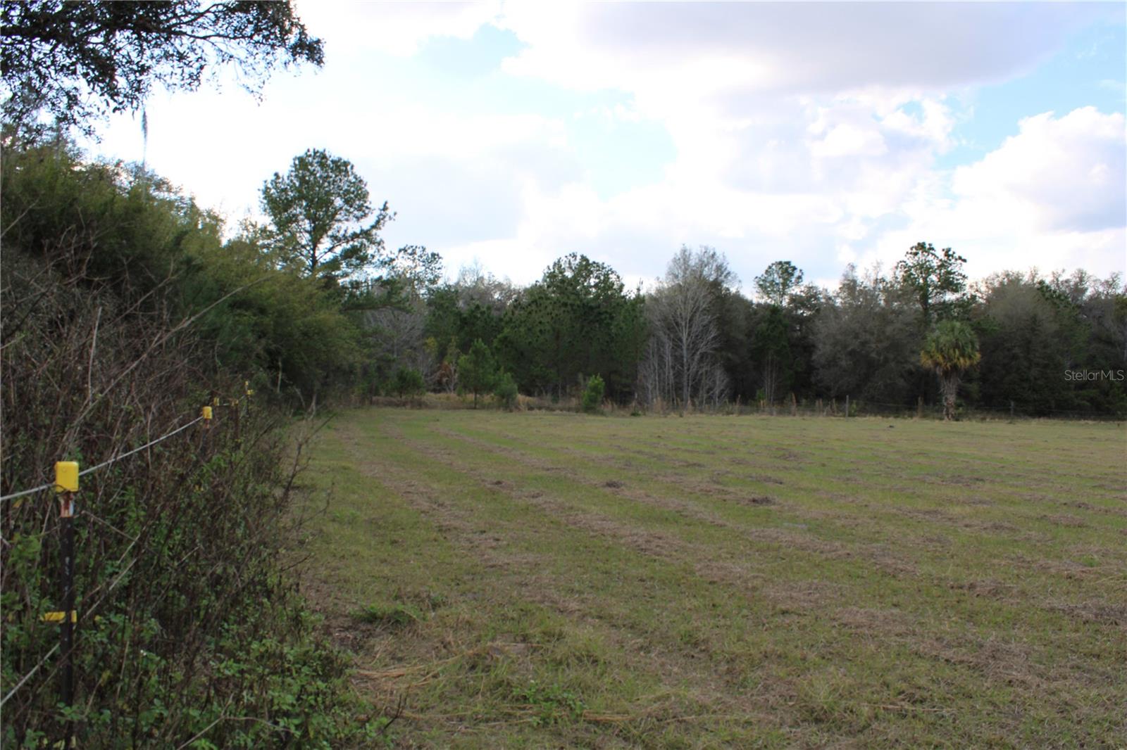 19058 WISCON RD, BROOKSVILLE, FL, 34601