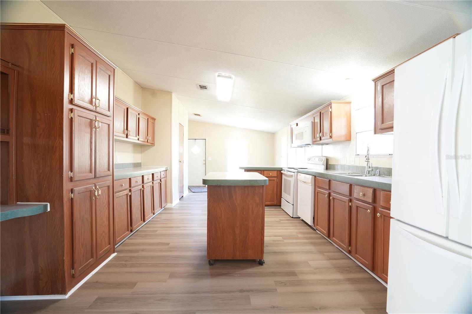 19058 WISCON RD, BROOKSVILLE, FL, 34601