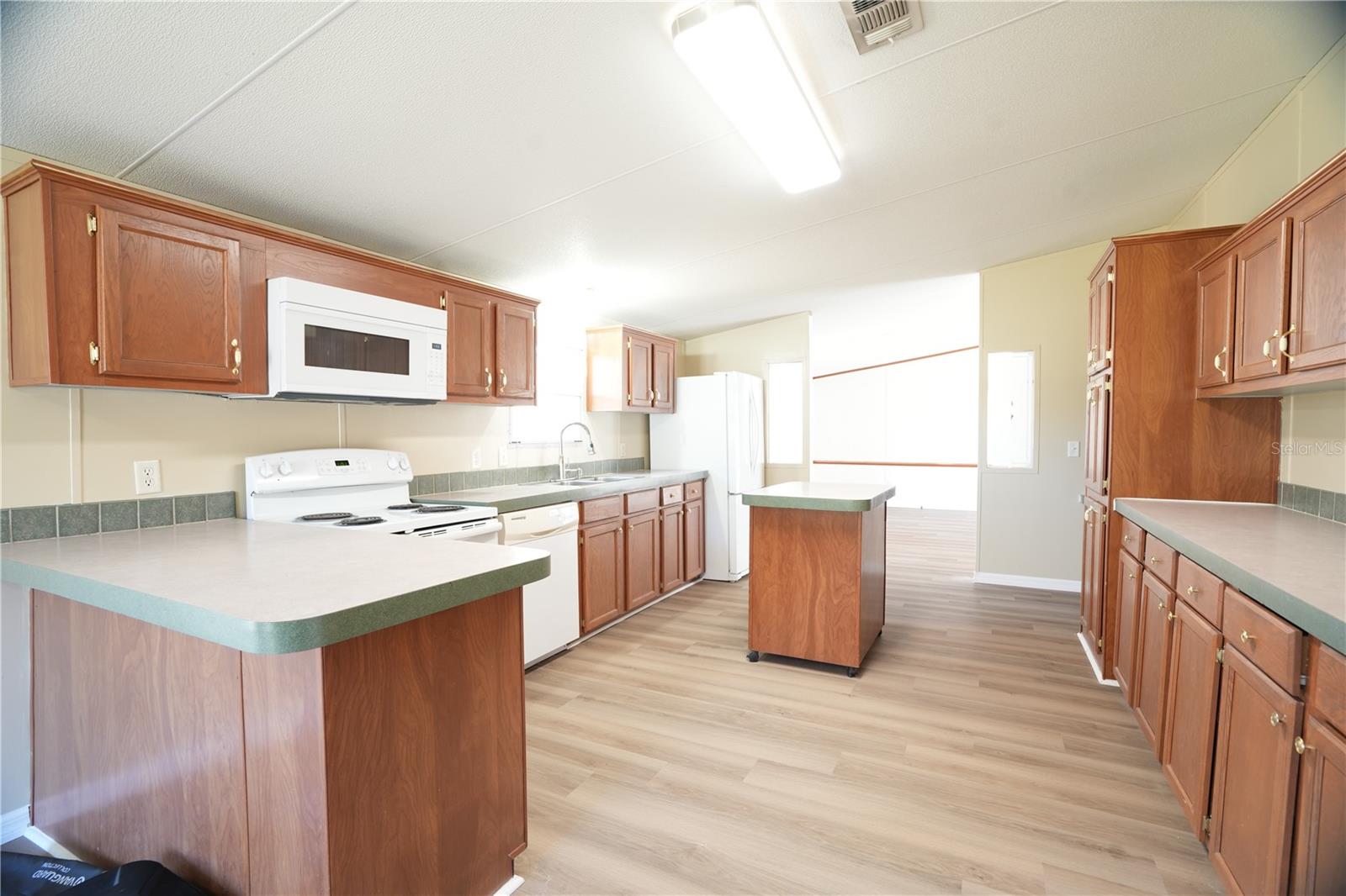 19058 WISCON RD, BROOKSVILLE, FL, 34601