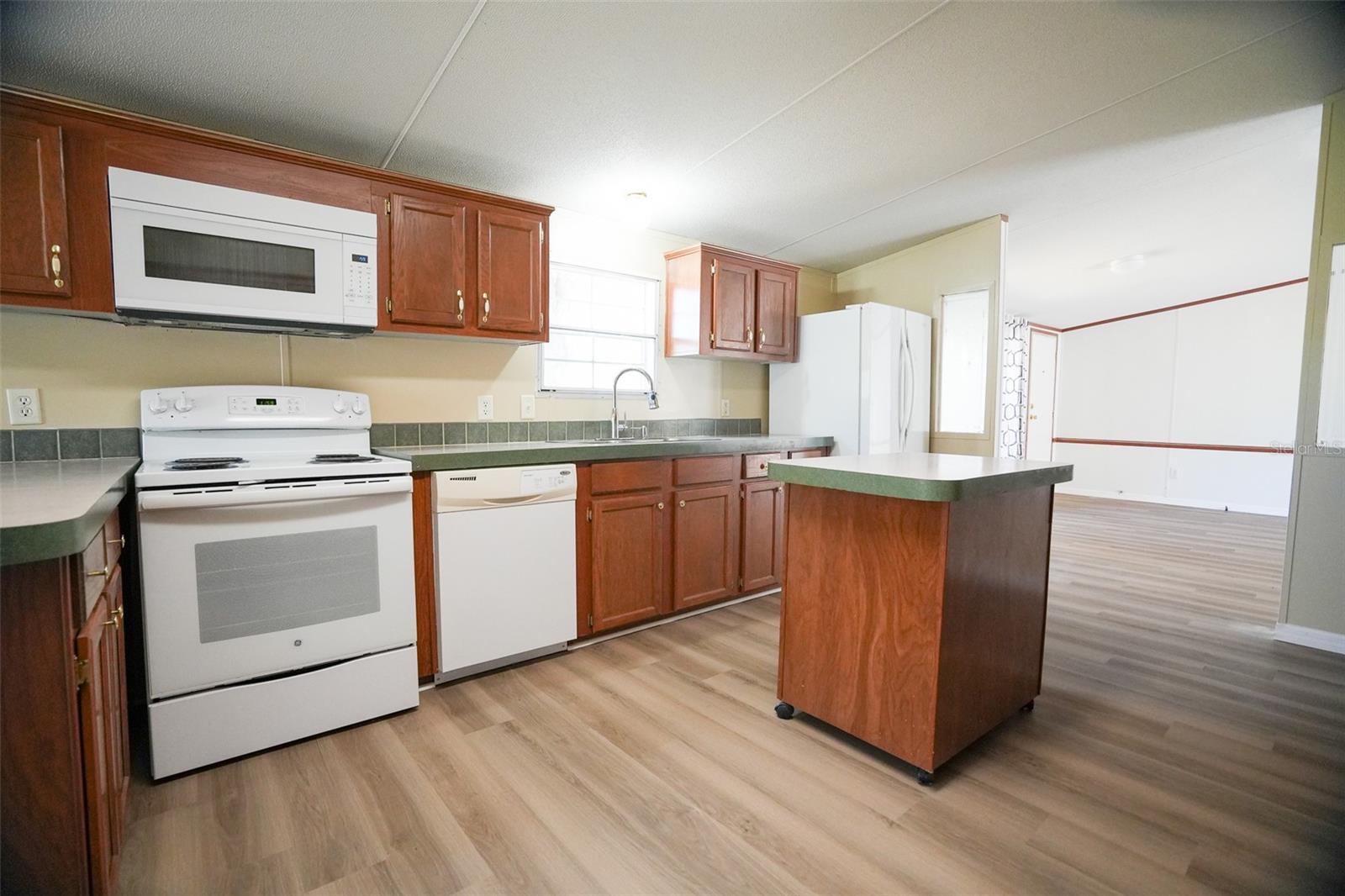 19058 WISCON RD, BROOKSVILLE, FL, 34601