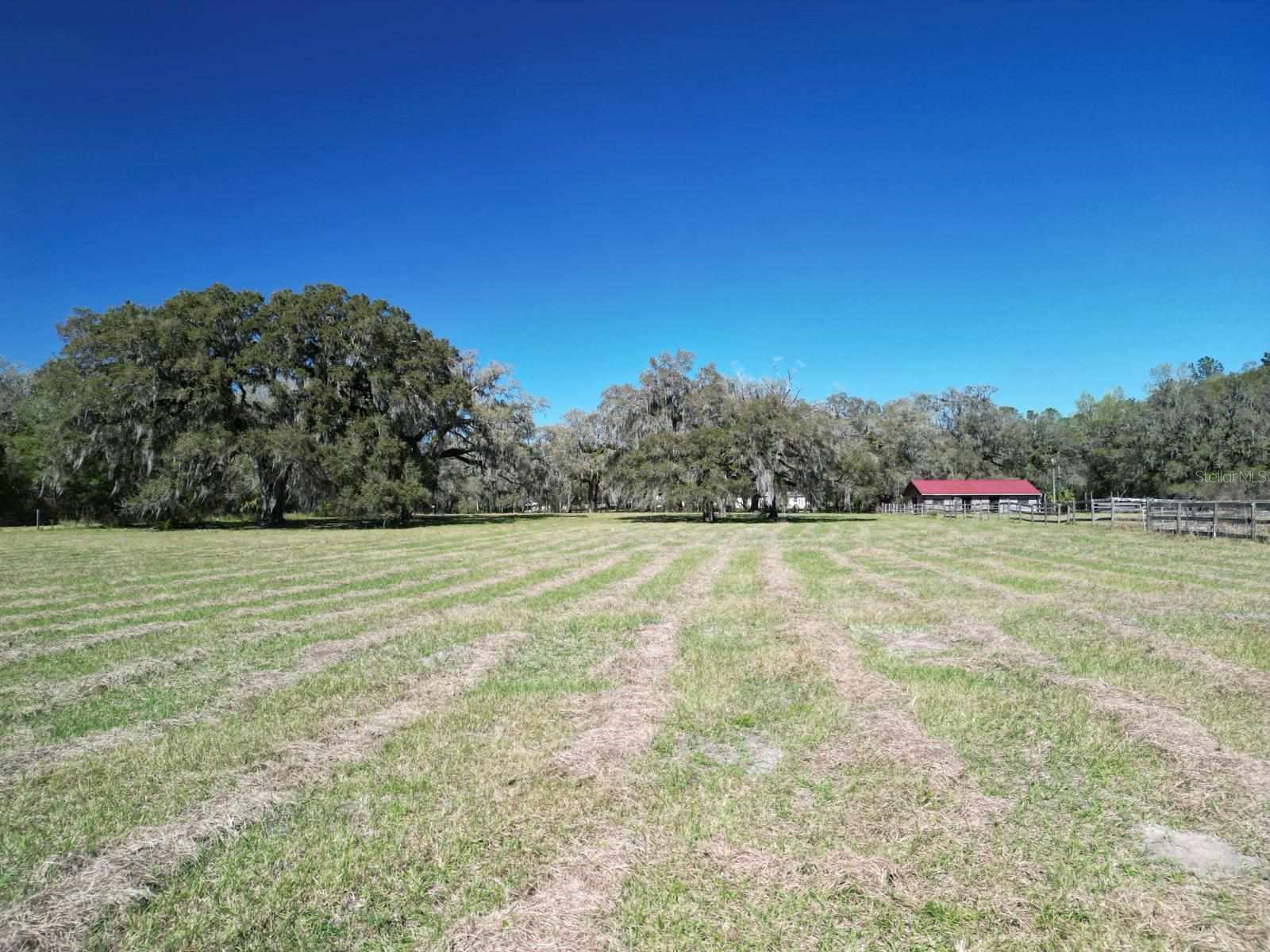 19058 WISCON RD, BROOKSVILLE, FL, 34601