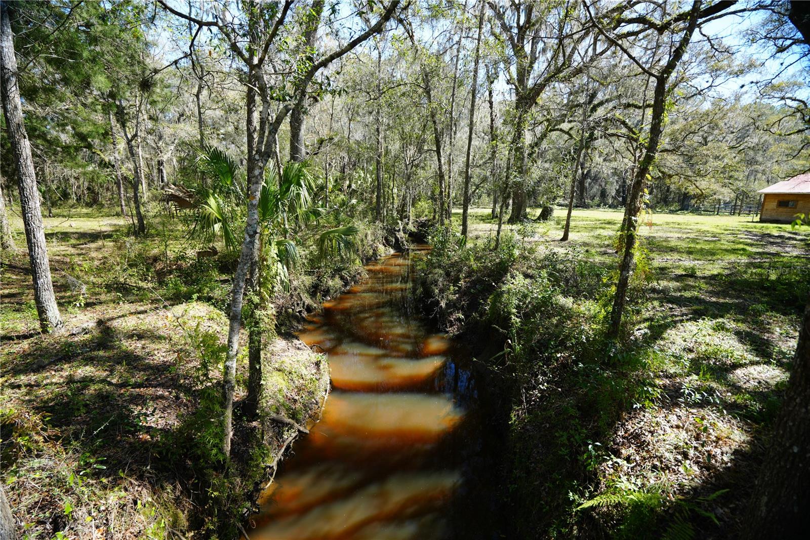 19058 WISCON RD, BROOKSVILLE, FL, 34601