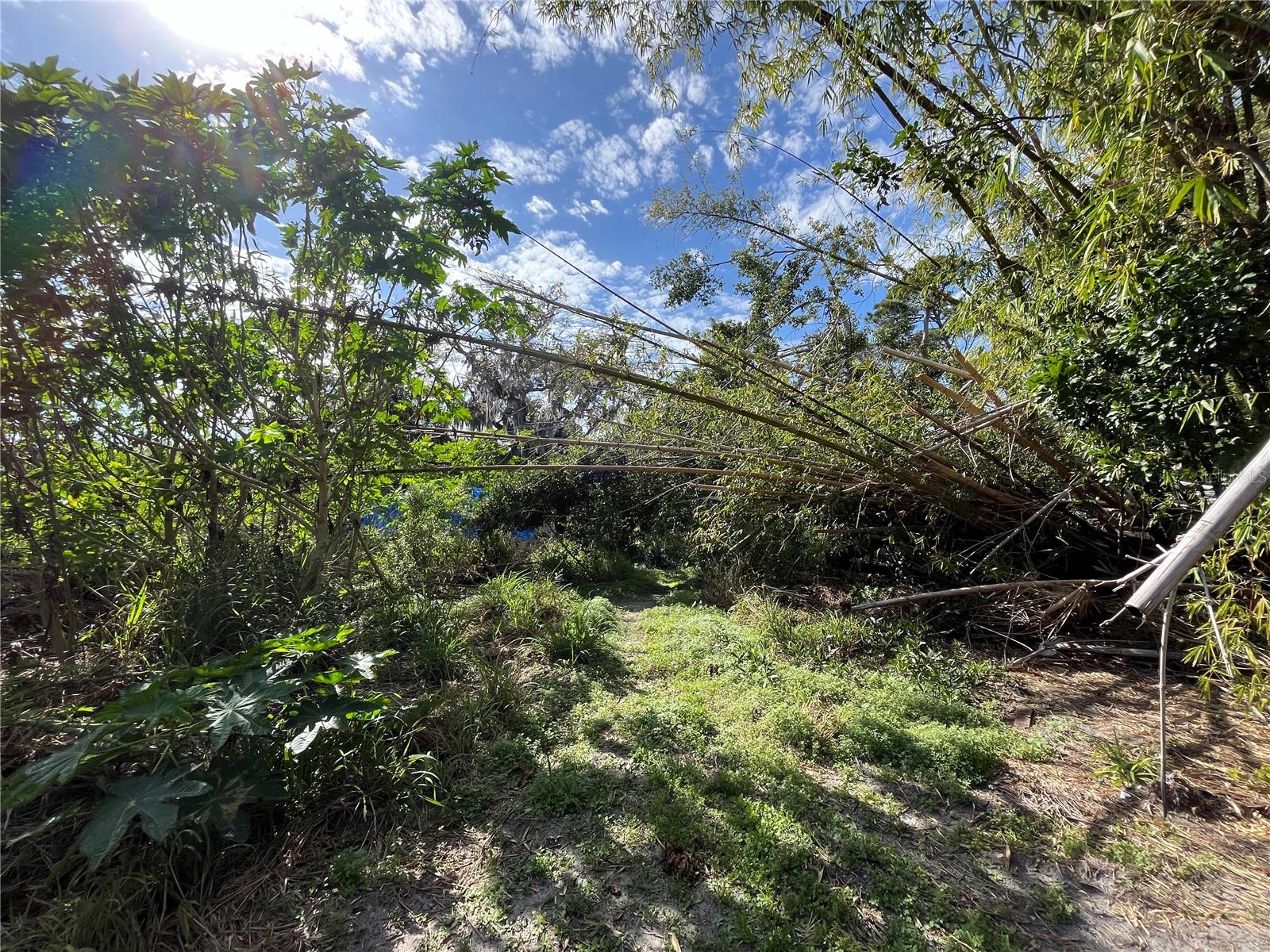 38 OLD VENICE RD, OSPREY, FL, 34229