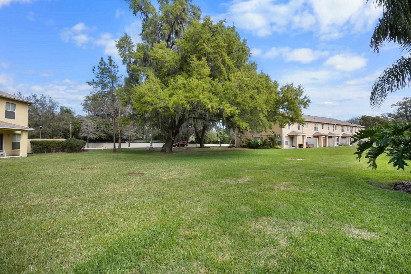 4564 LIMERICK DR, TAMPA, FL, 33610