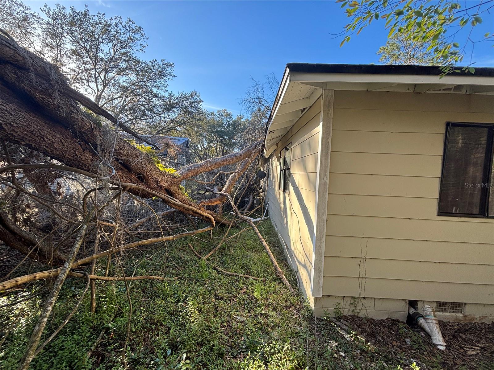 U8231511 Property Photo