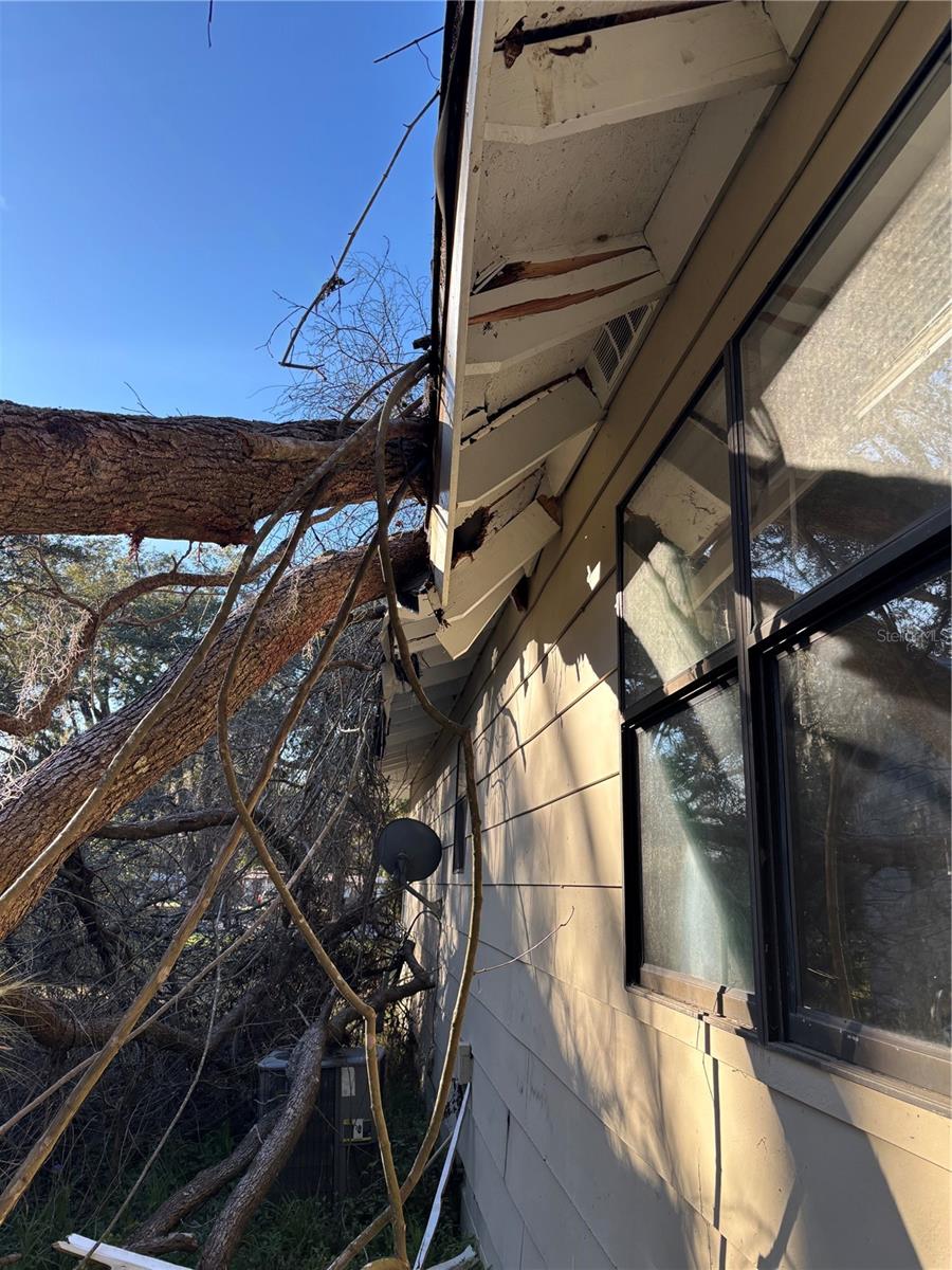 U8231511 Property Photo