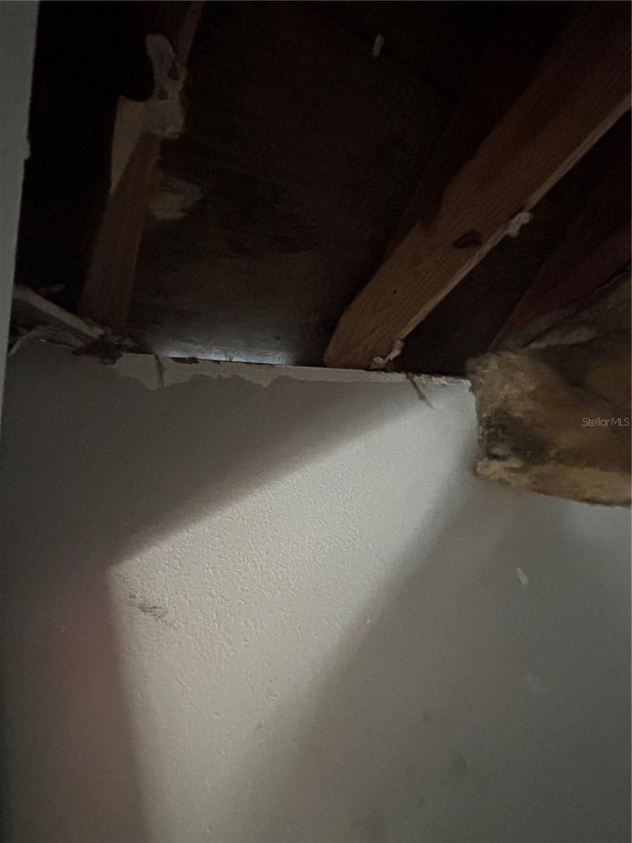 U8231511 Property Photo