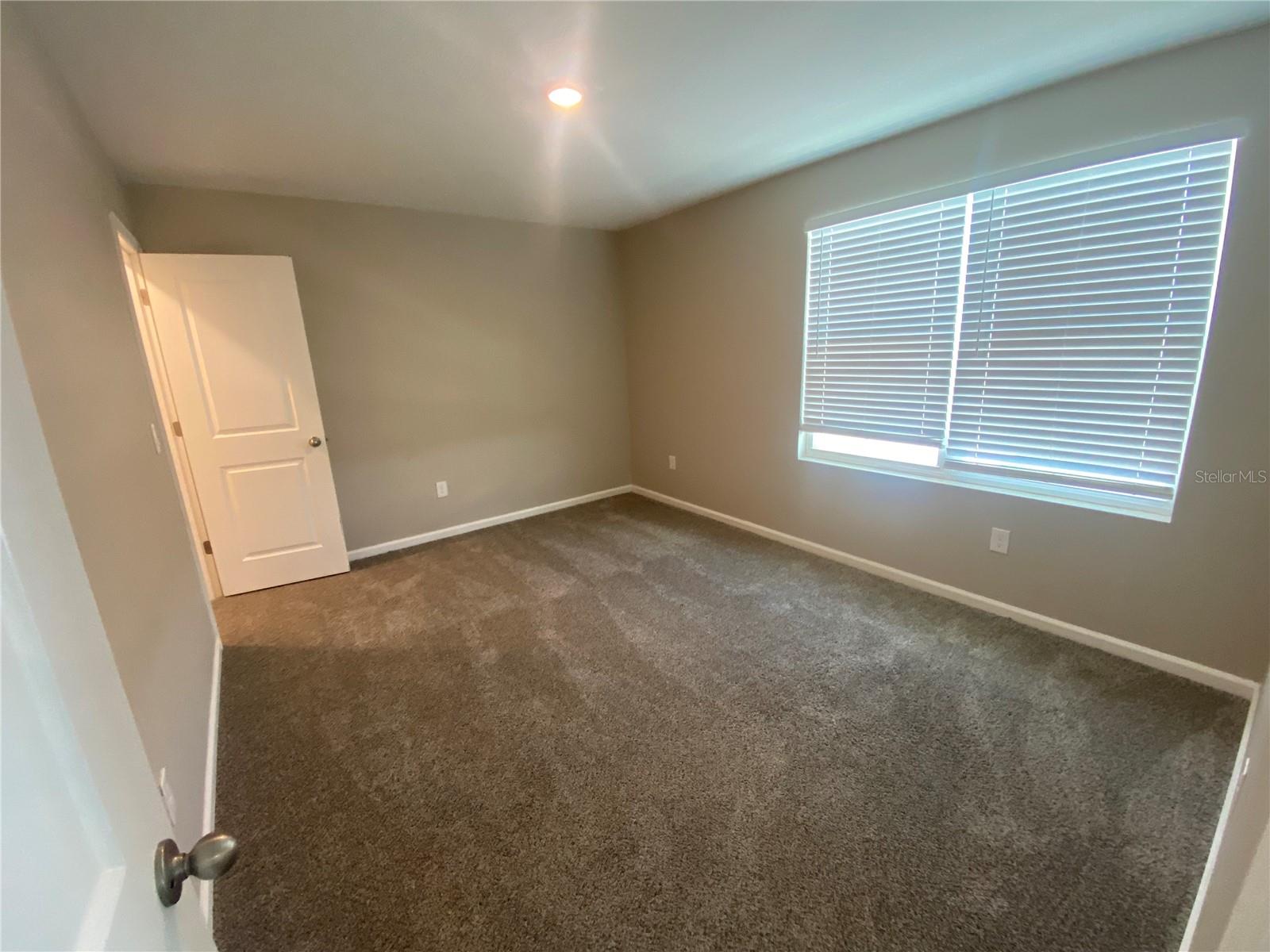 35139 WHITE WATER LILY WAY, ZEPHYRHILLS, FL, 33541