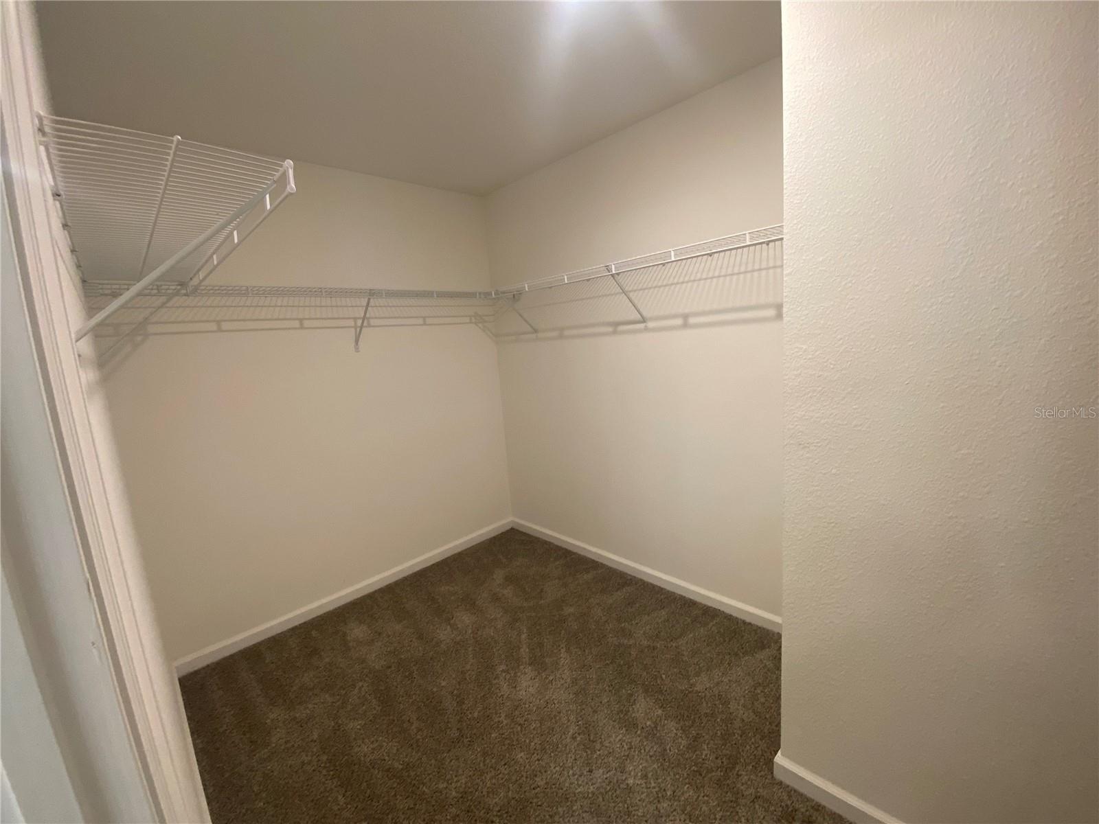 35139 WHITE WATER LILY WAY, ZEPHYRHILLS, FL, 33541