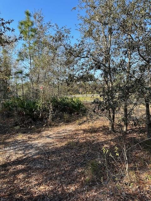 7179 W MERRIVALE LN, HOMOSASSA, FL, 34446