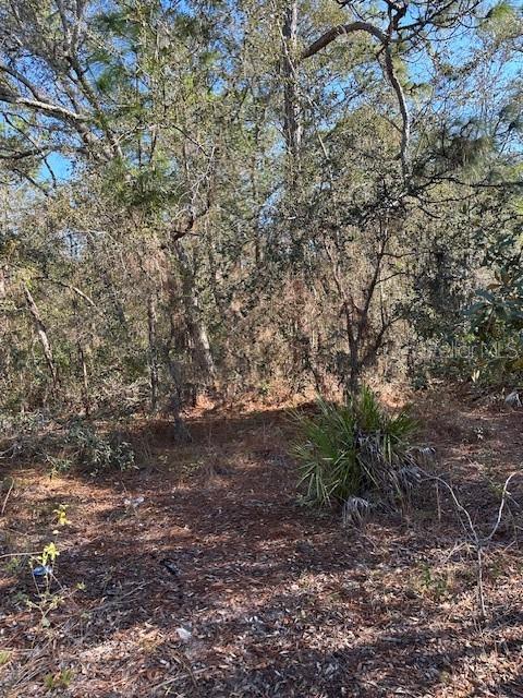 7179 W MERRIVALE LN, HOMOSASSA, FL, 34446