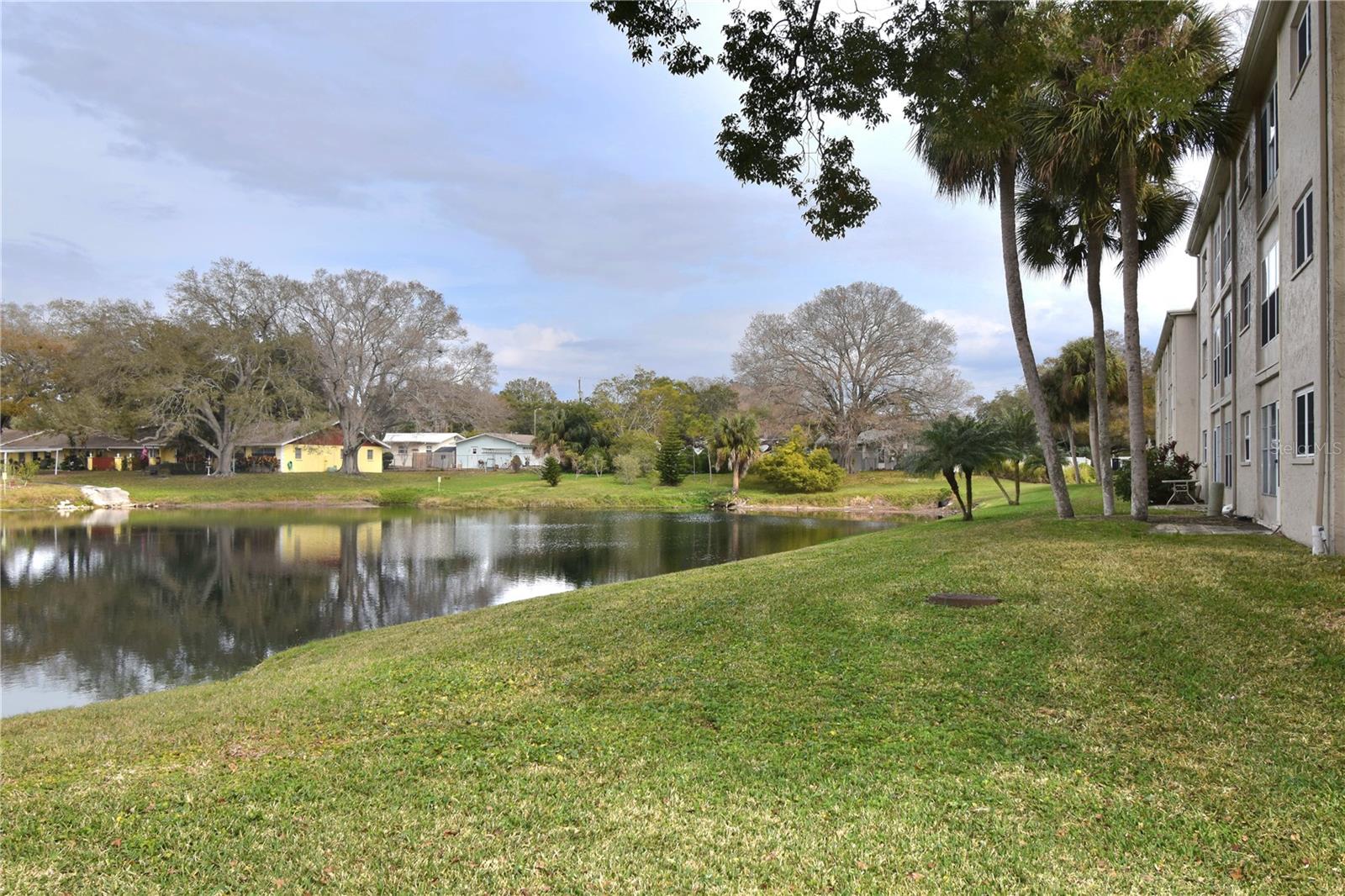 936 VIRGINIA ST #102, DUNEDIN, FL, 34698