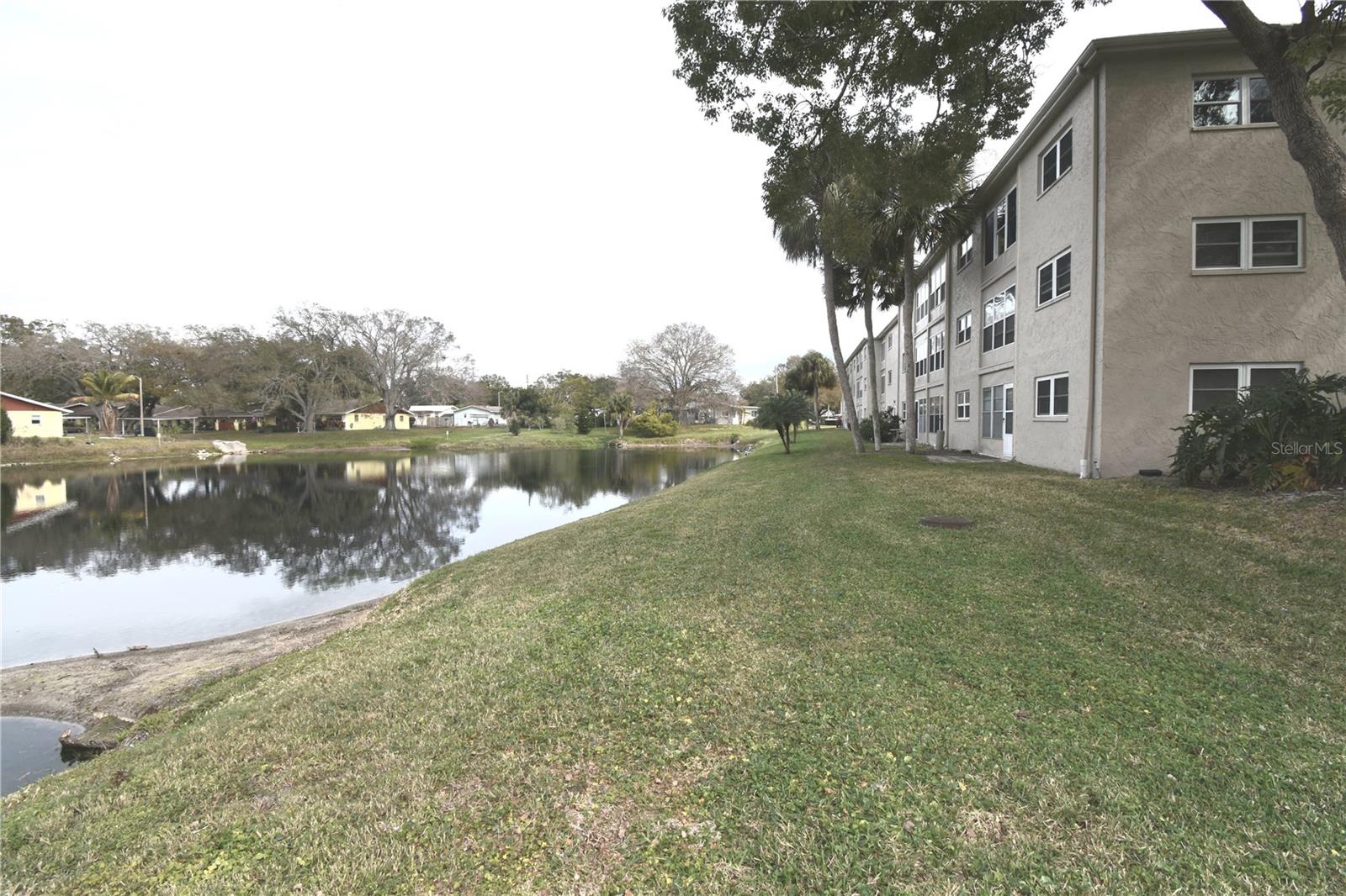 936 VIRGINIA ST #102, DUNEDIN, FL, 34698