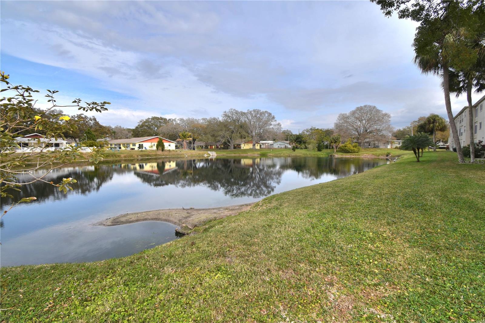 936 VIRGINIA ST #102, DUNEDIN, FL, 34698