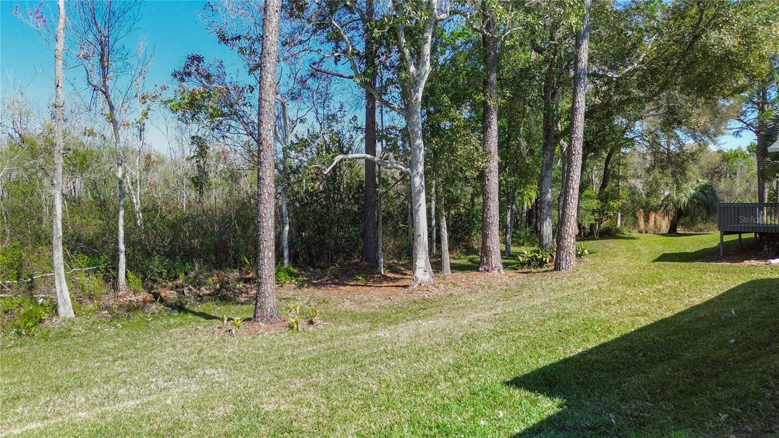 32676 OAK PARK DR, LEESBURG, FL, 34748