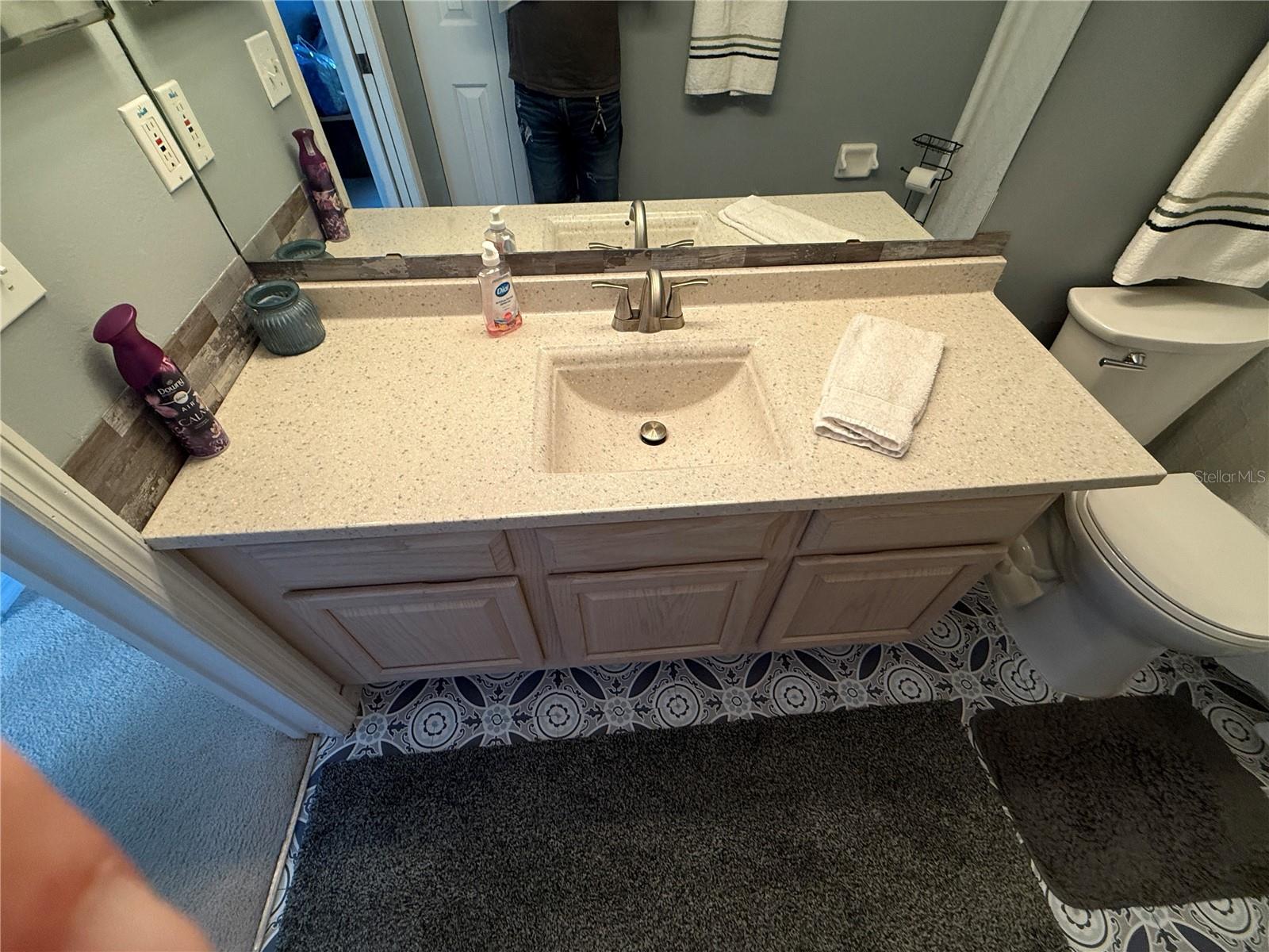 32676 OAK PARK DR, LEESBURG, FL, 34748