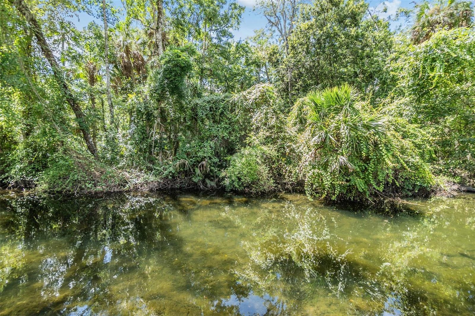 8952 W WHITE DOGWOOD DR, HOMOSASSA, FL, 34448