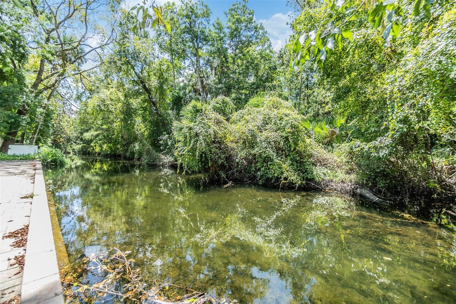 8952 W WHITE DOGWOOD DR, HOMOSASSA, FL, 34448