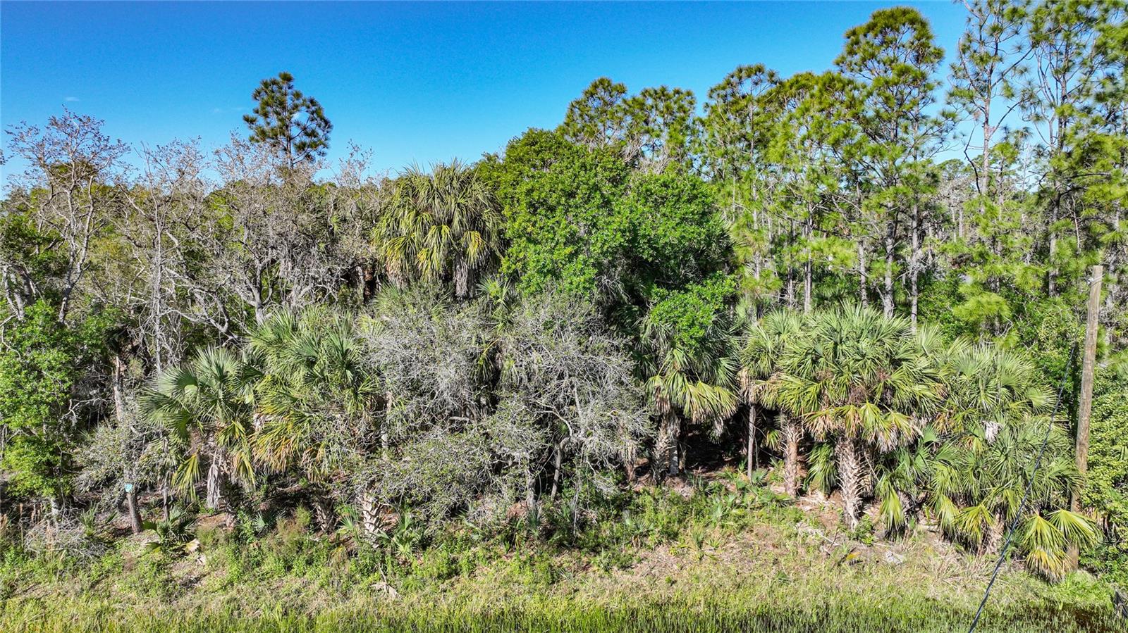 PONCE DE LEON BLVD, NORTH PORT, FL, 34291