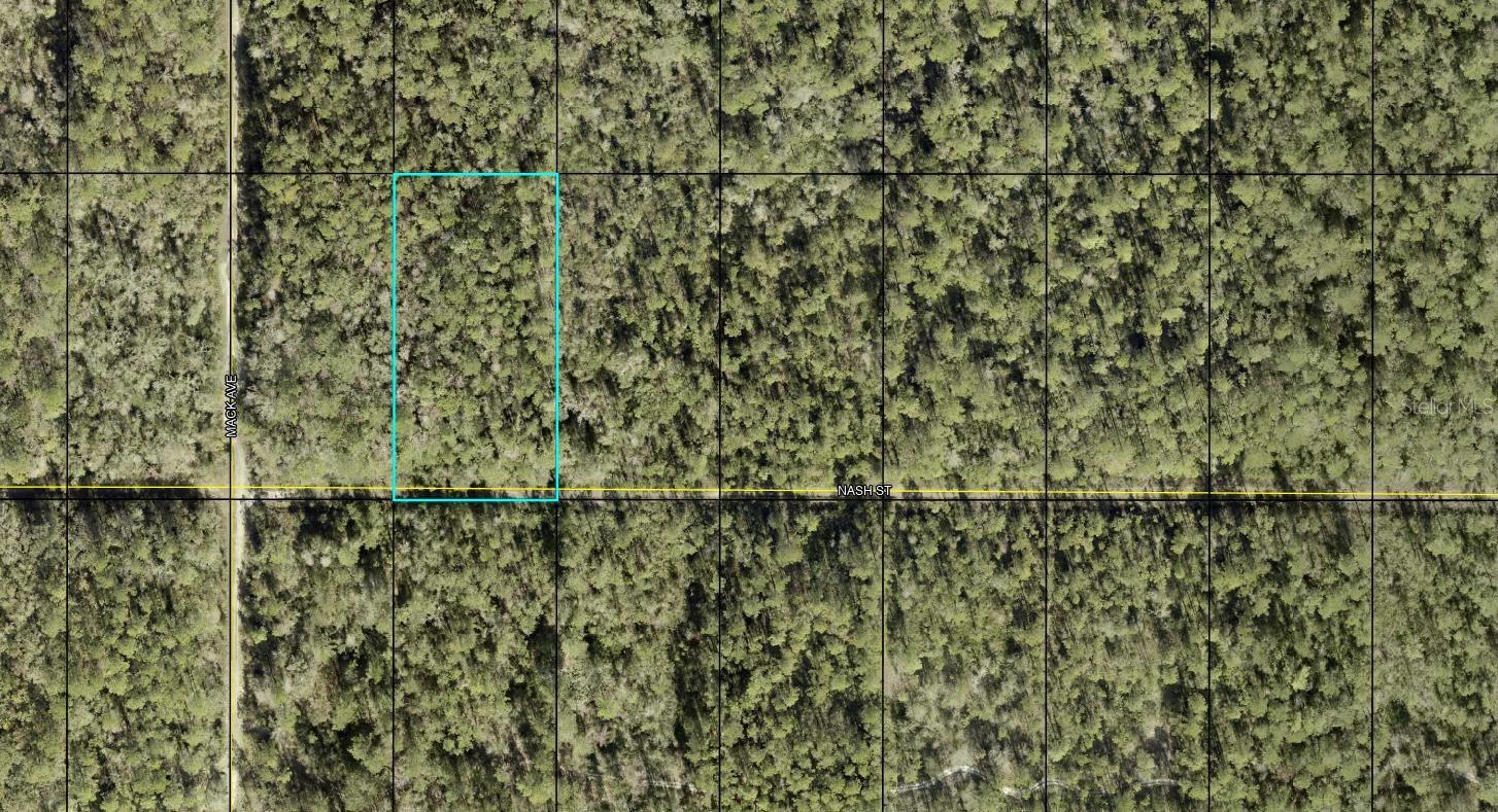 XX NASH ST, HASTINGS, FL, 32145
