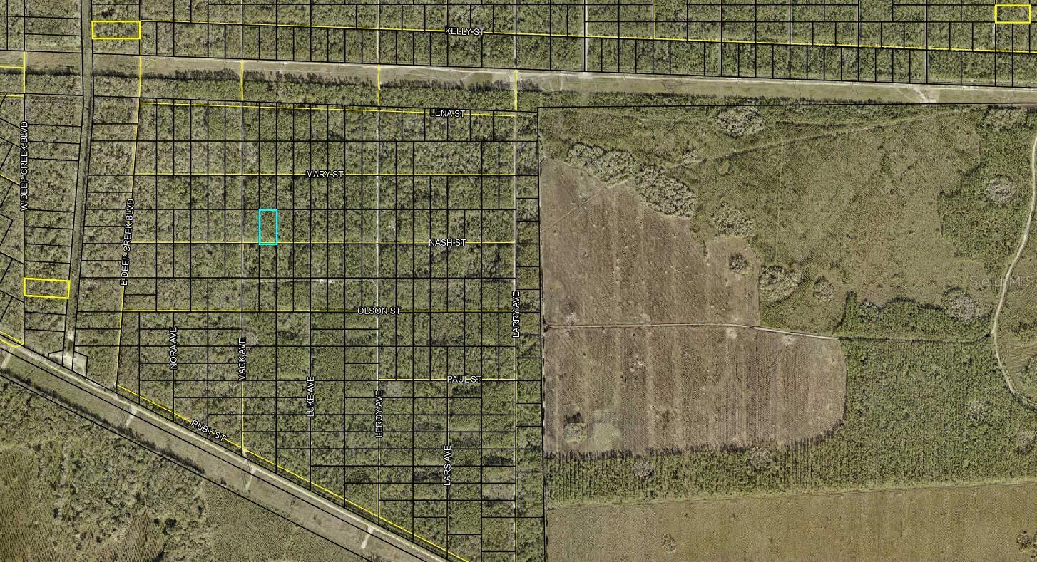 XX NASH ST, HASTINGS, FL, 32145
