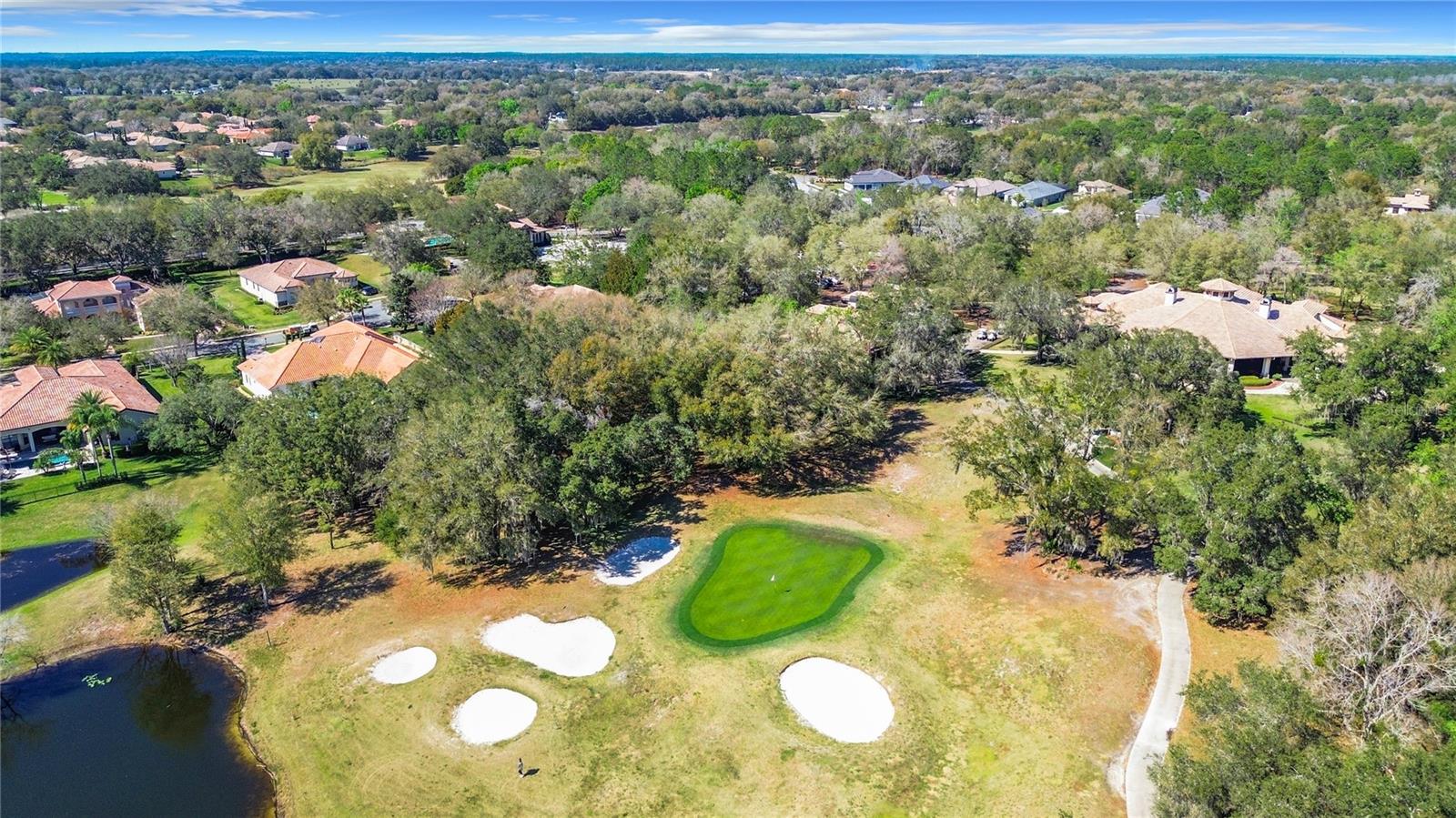 32702 VIEW HAVEN LN, SORRENTO, FL, 32776