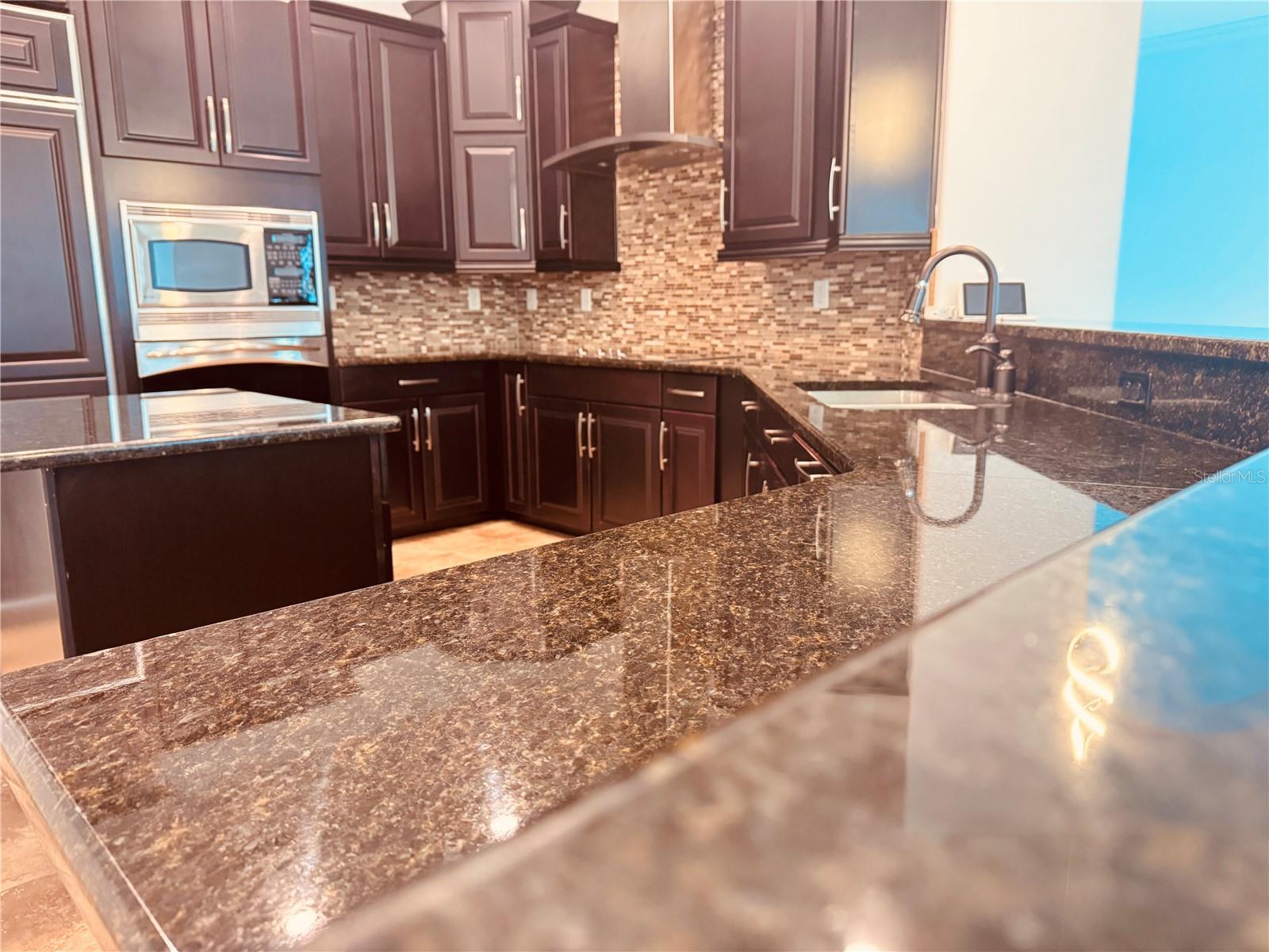 32702 VIEW HAVEN LN, SORRENTO, FL, 32776