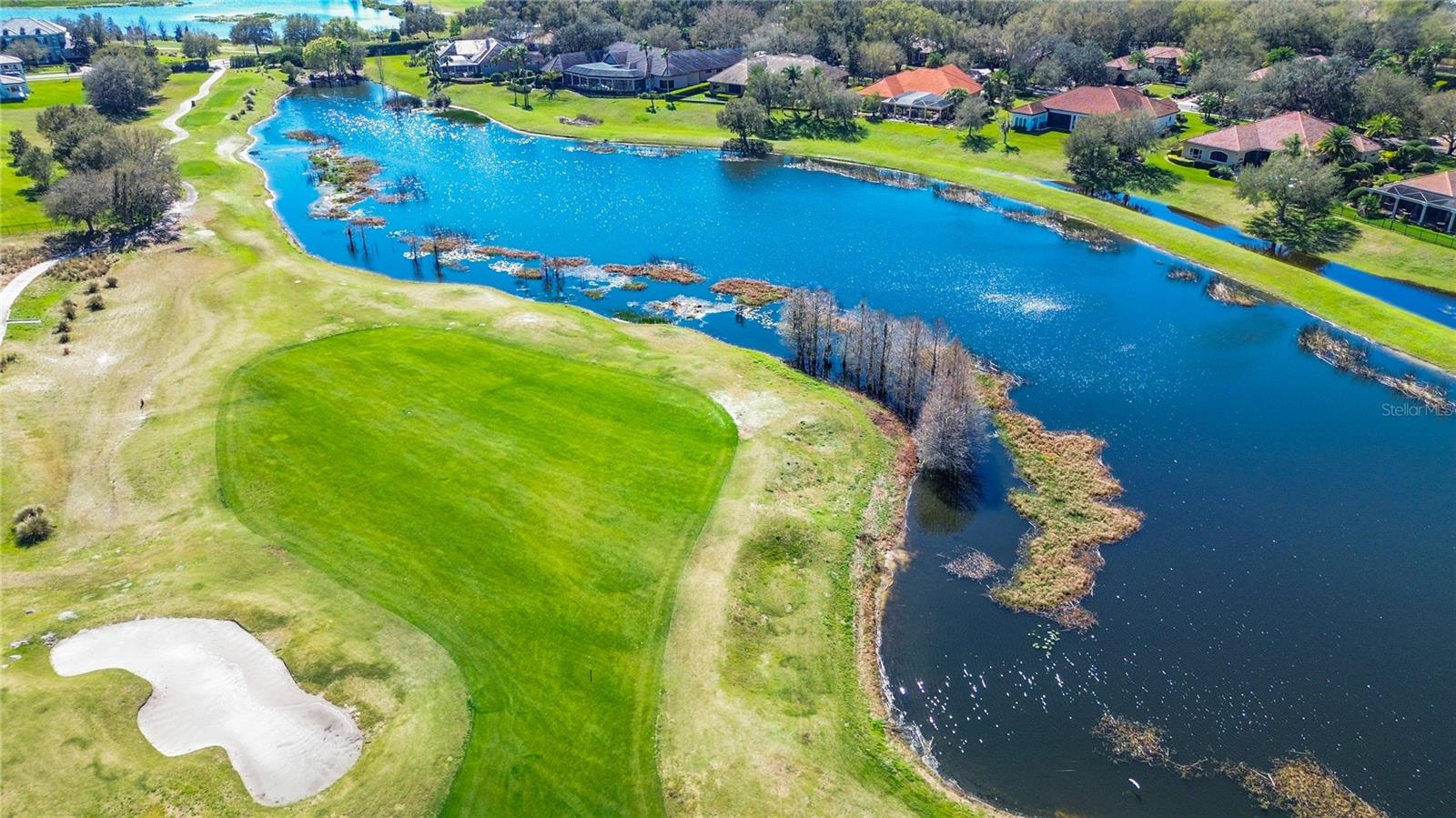 32702 VIEW HAVEN LN, SORRENTO, FL, 32776