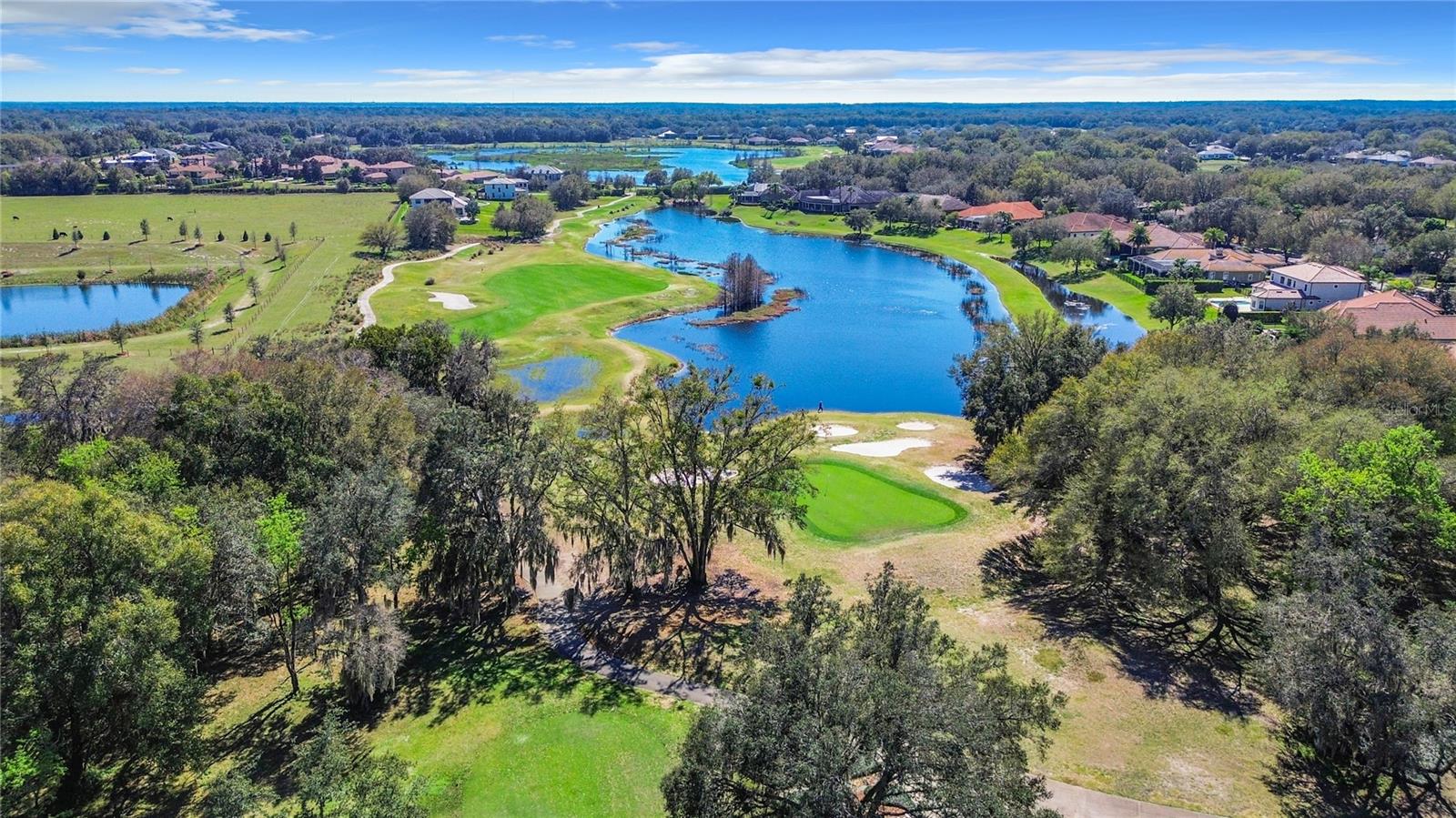 32702 VIEW HAVEN LN, SORRENTO, FL, 32776