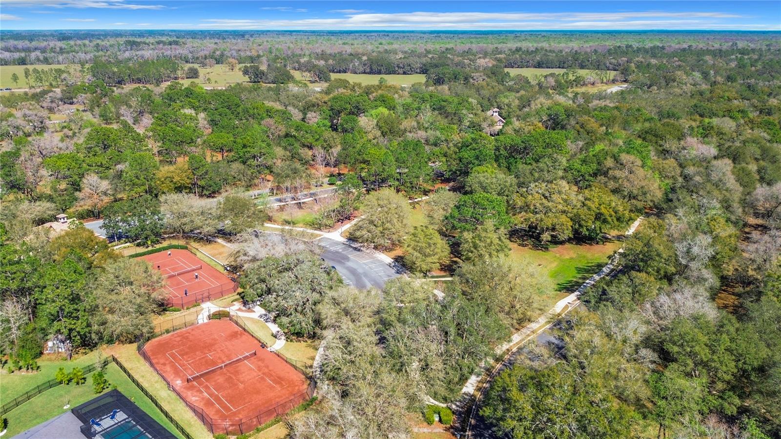 32702 VIEW HAVEN LN, SORRENTO, FL, 32776