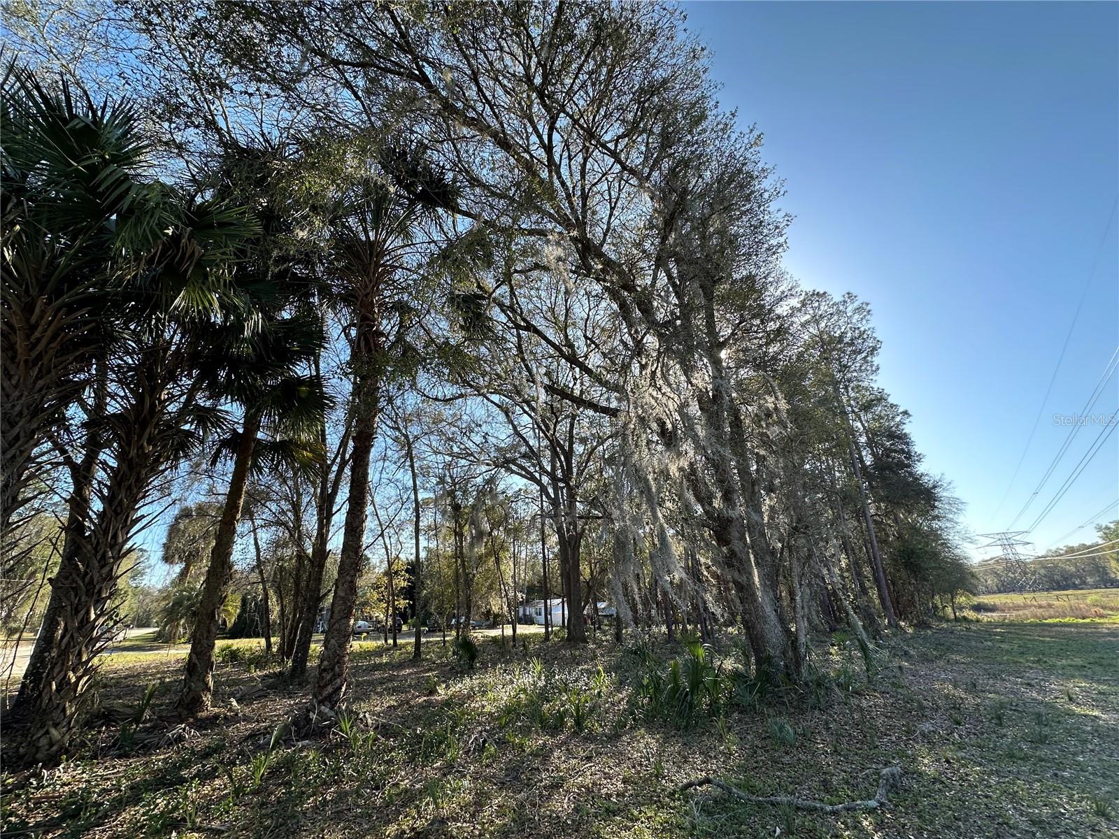 TBD NE 151 LN, FORT MC COY, FL, 32134