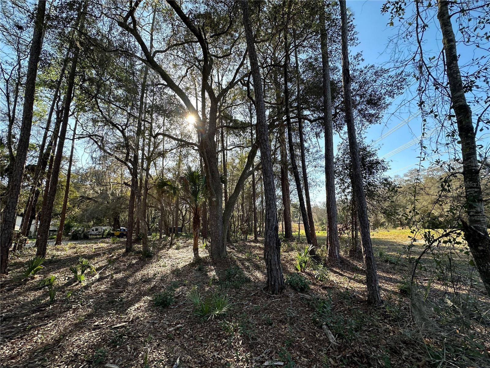 TBD NE 151 LN, FORT MC COY, FL, 32134