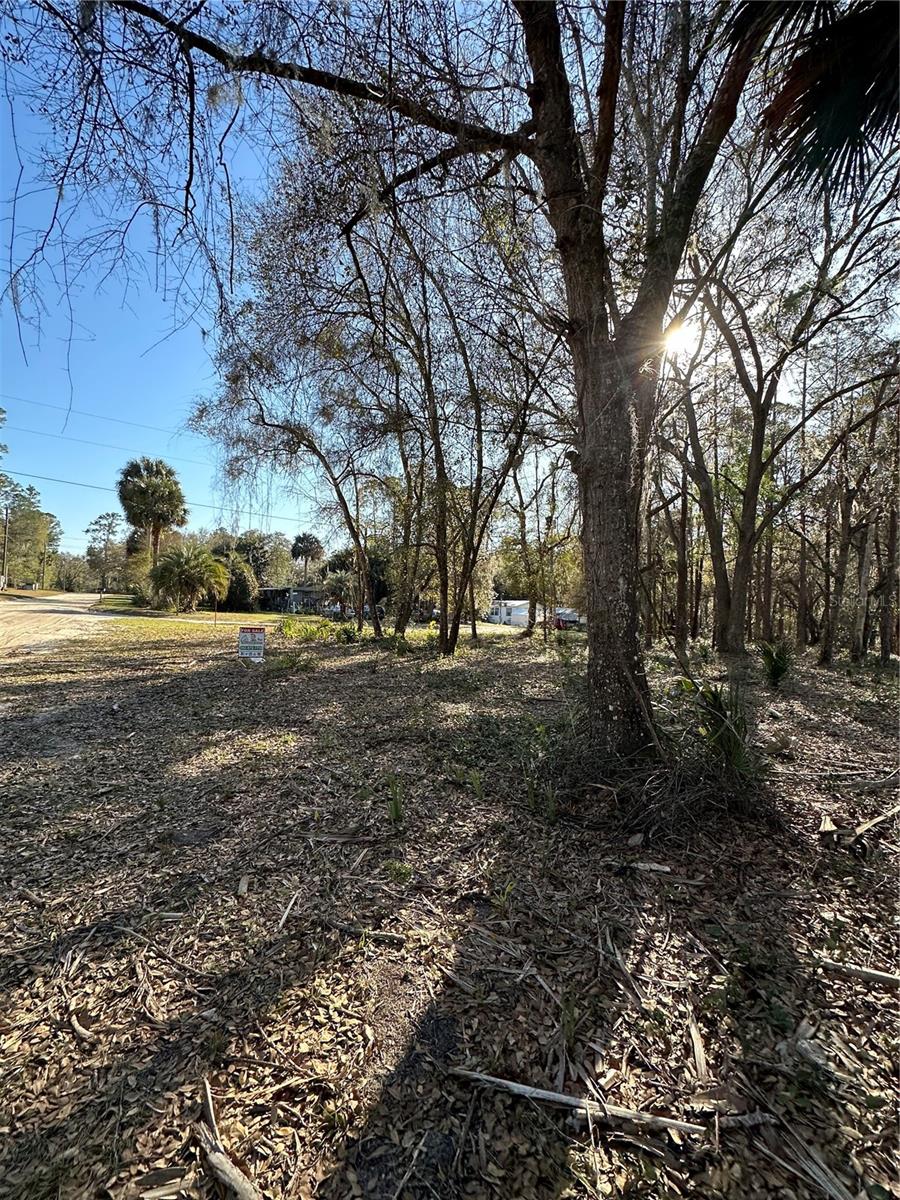 TBD NE 151 LN, FORT MC COY, FL, 32134