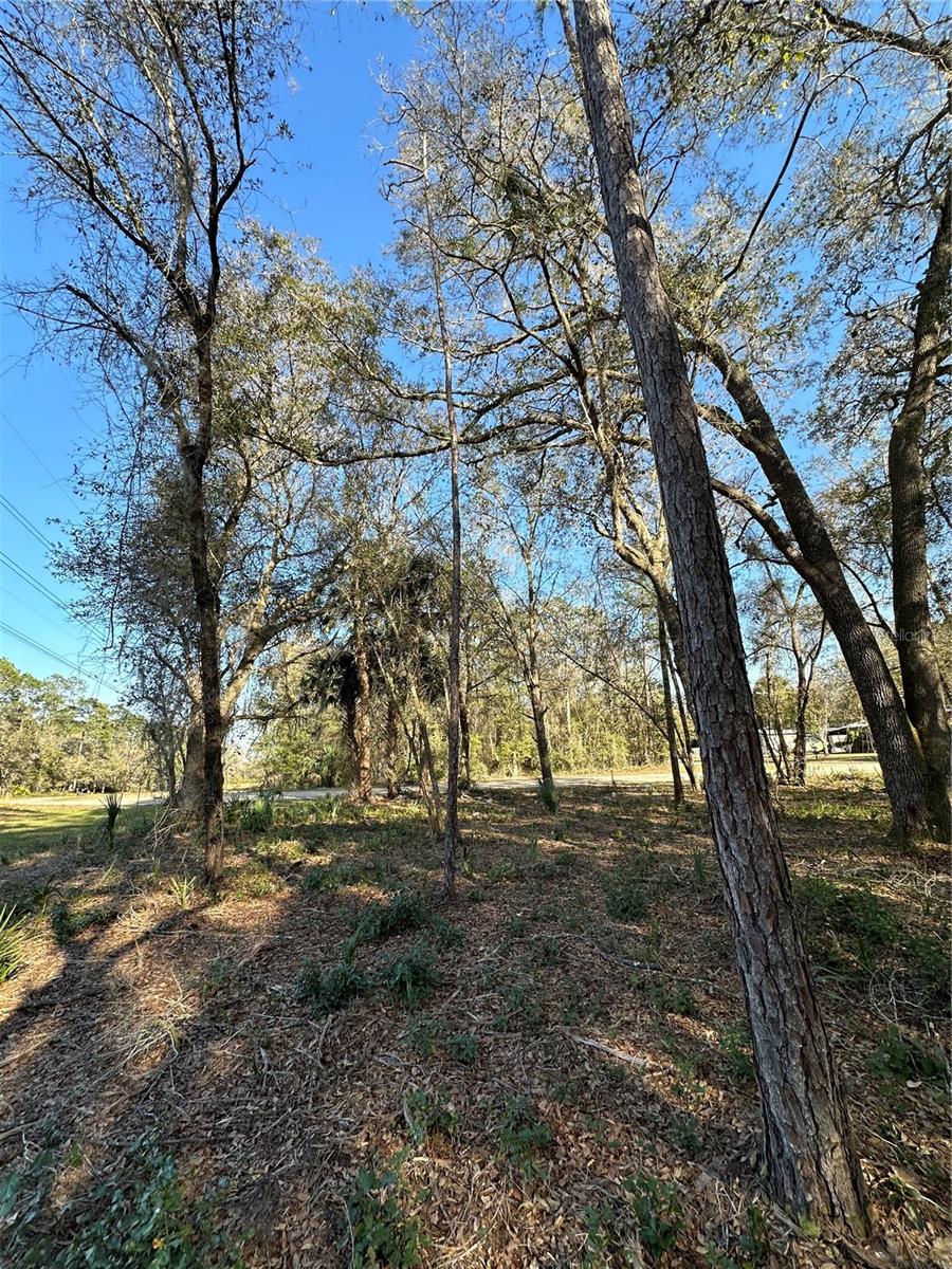 TBD NE 151 LN, FORT MC COY, FL, 32134
