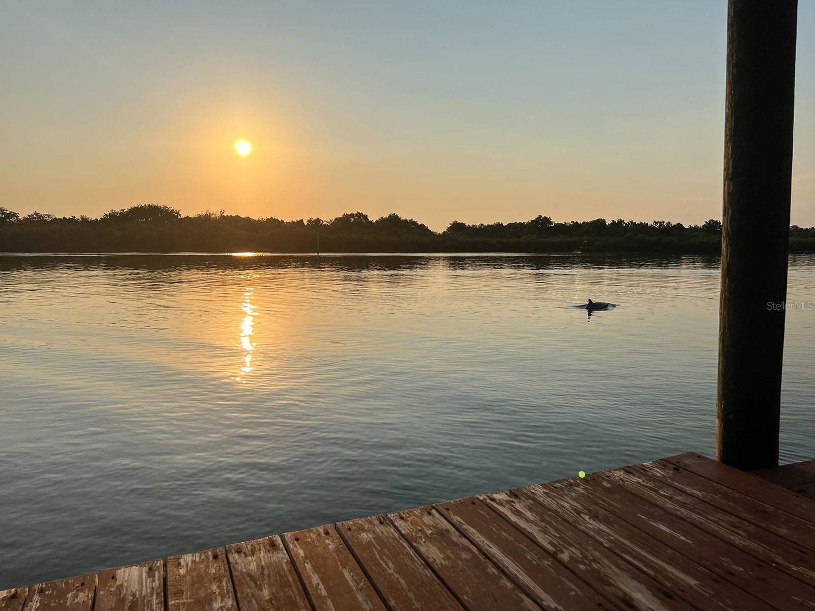 2437 SWORDFISH LN, EDGEWATER, FL, 32141