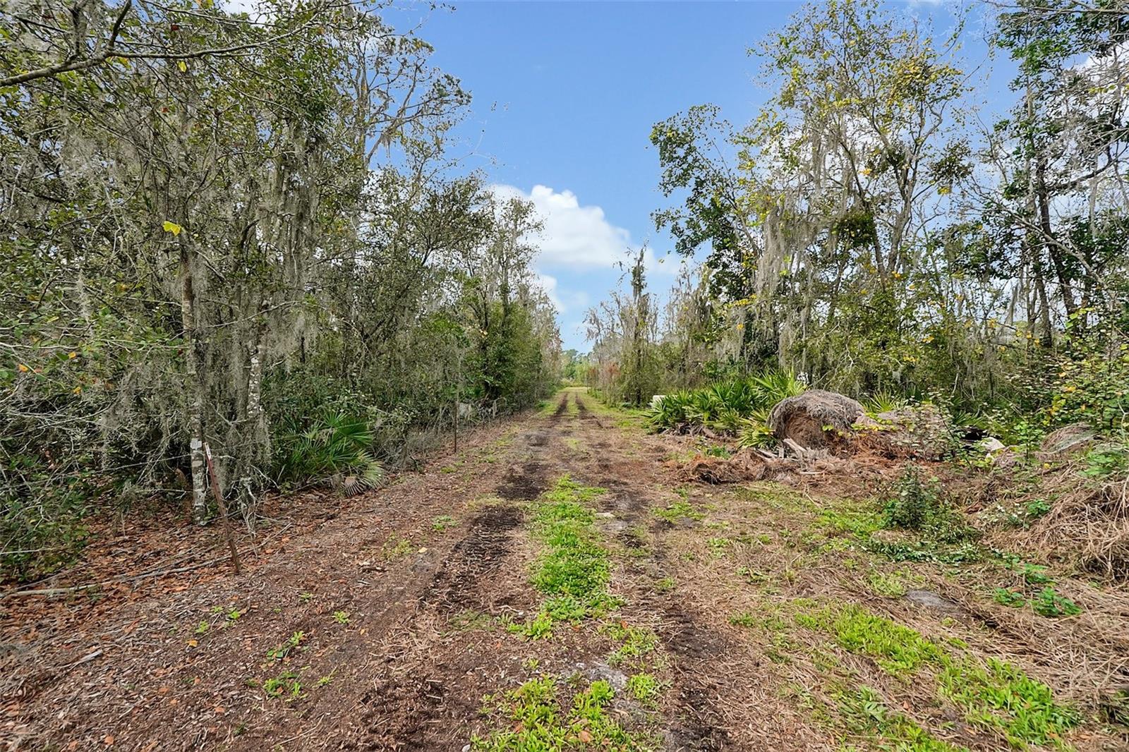 LAKE BUFFUM RD   E, FORT MEADE, FL, 33841