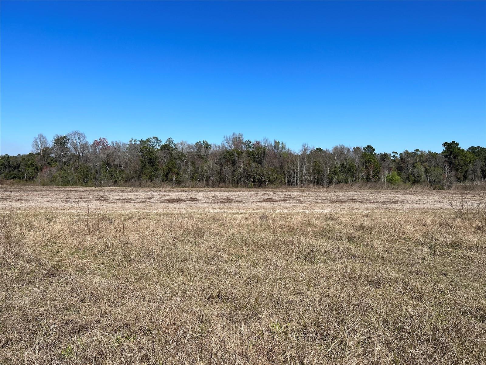 LOT 4B E HWY 318, FORT MC COY, FL, 32134