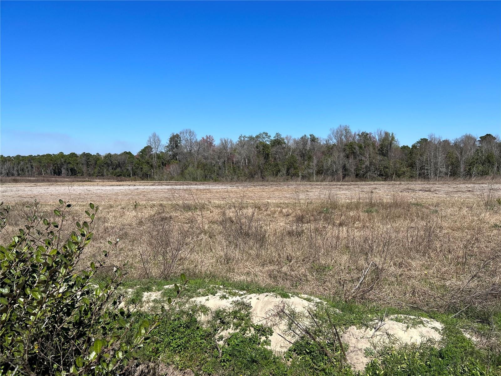 LOT 5A E HWY 318, FORT MC COY, FL, 32134