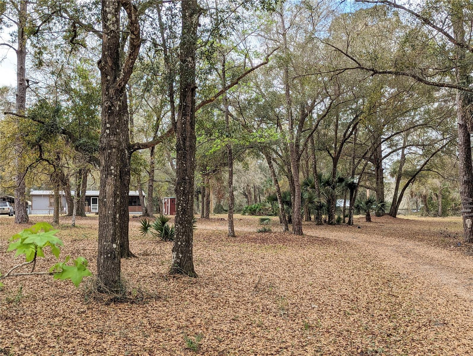1718 N HIGHWAY 314A, SILVER SPRINGS, FL, 34488