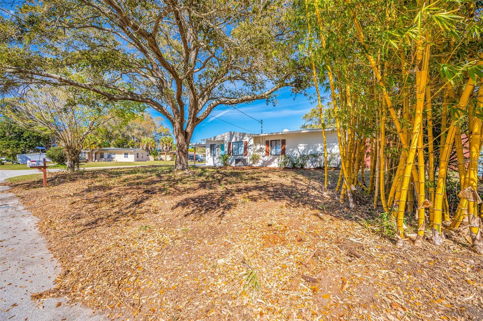 1531 STEVENSON DR, CLEARWATER, FL, 33755