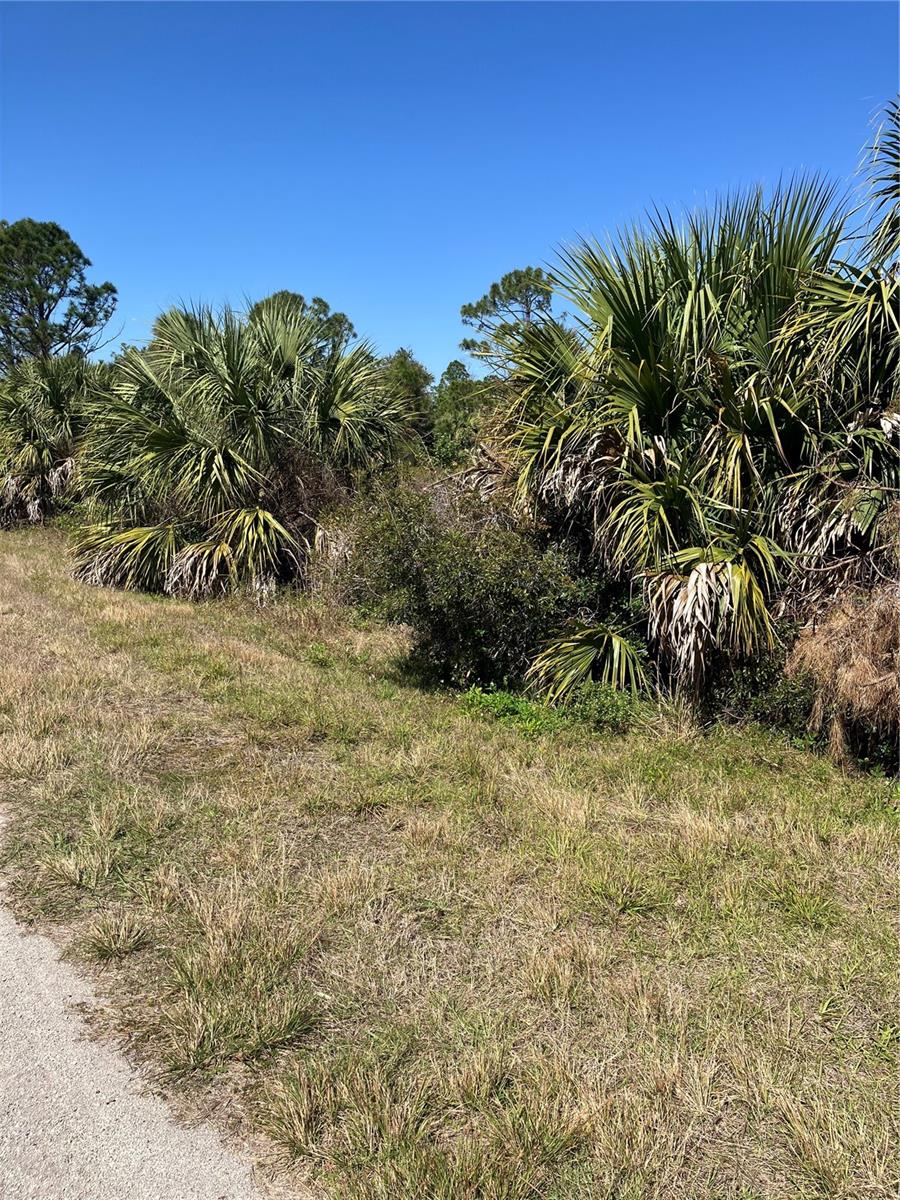 BIGNAY RD, NORTH PORT, FL, 34288