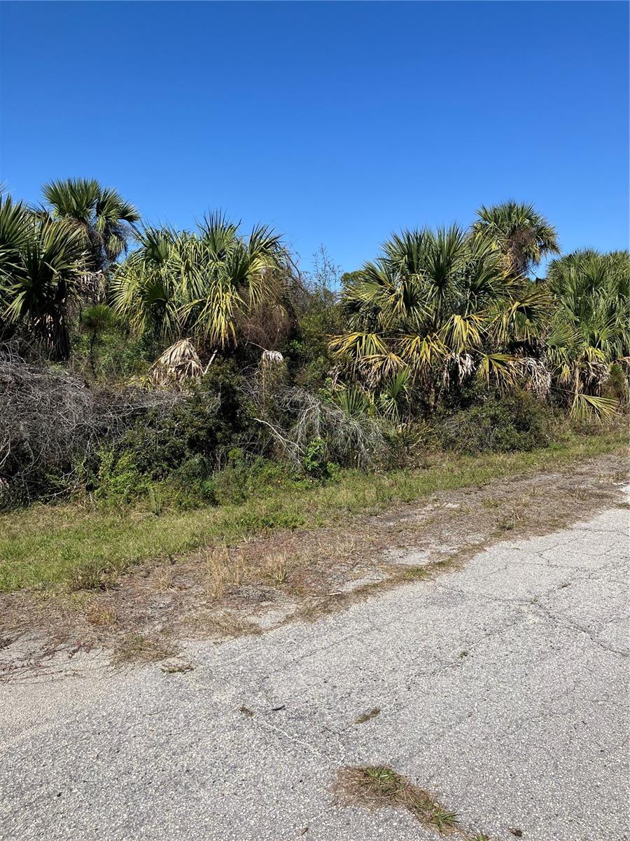 BIGNAY RD, NORTH PORT, FL, 34288
