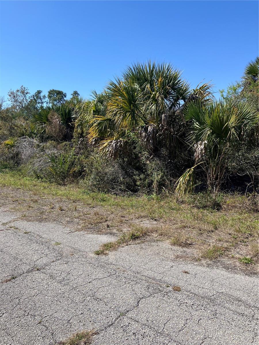 BIGNAY RD, NORTH PORT, FL, 34288