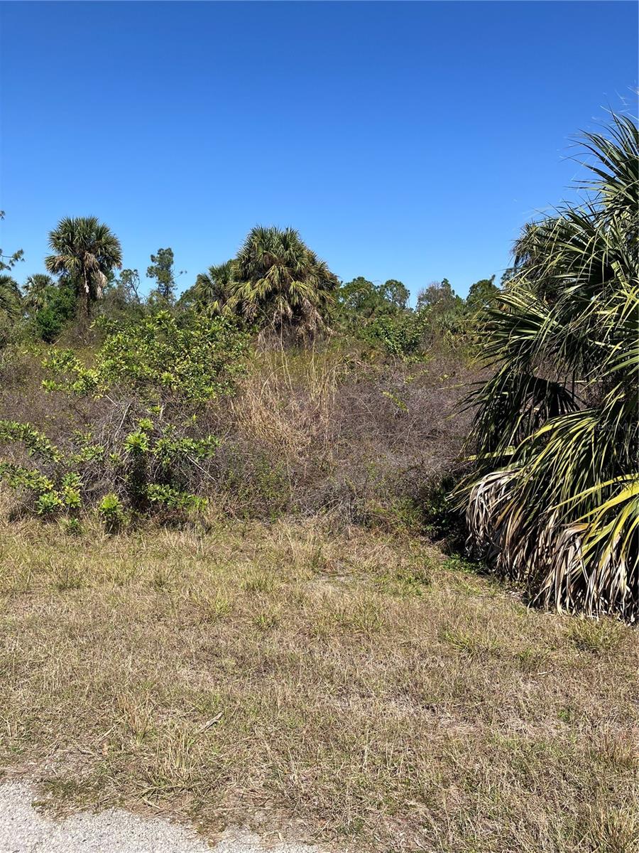 BIGNAY RD, NORTH PORT, FL, 34288