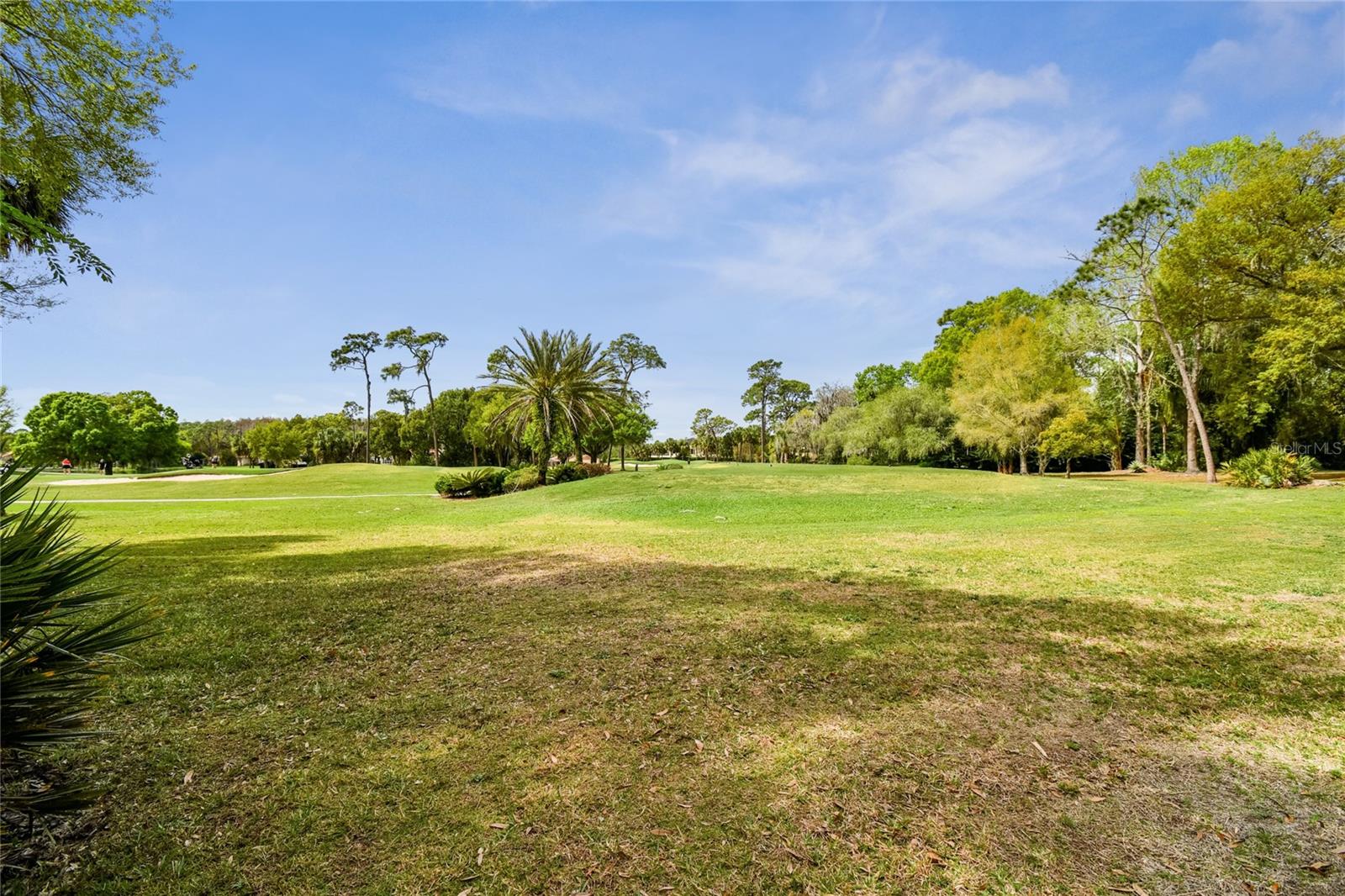 5359 SADDLEBROOK WAY, WESLEY CHAPEL, FL, 33543