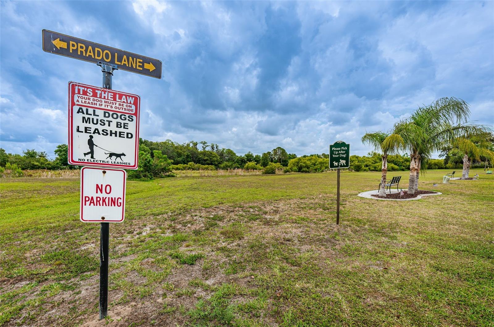 4136 RHONE DR, NEW PORT RICHEY, FL, 34655