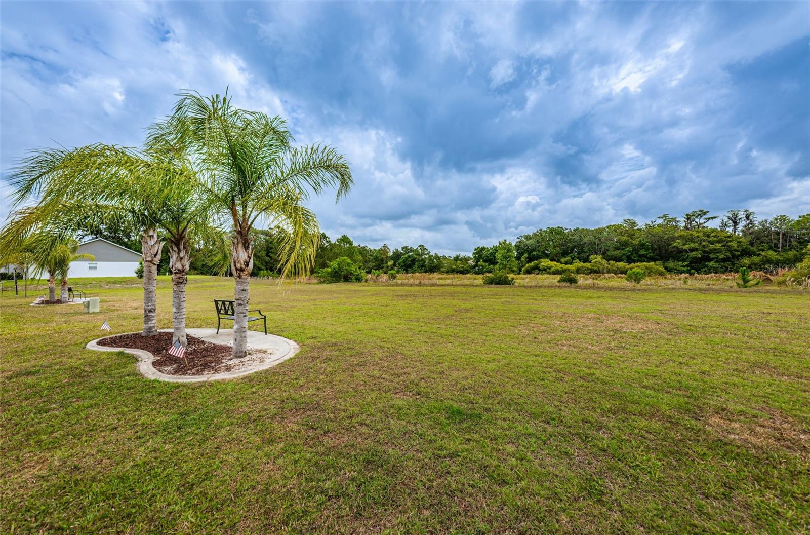 4136 RHONE DR, NEW PORT RICHEY, FL, 34655
