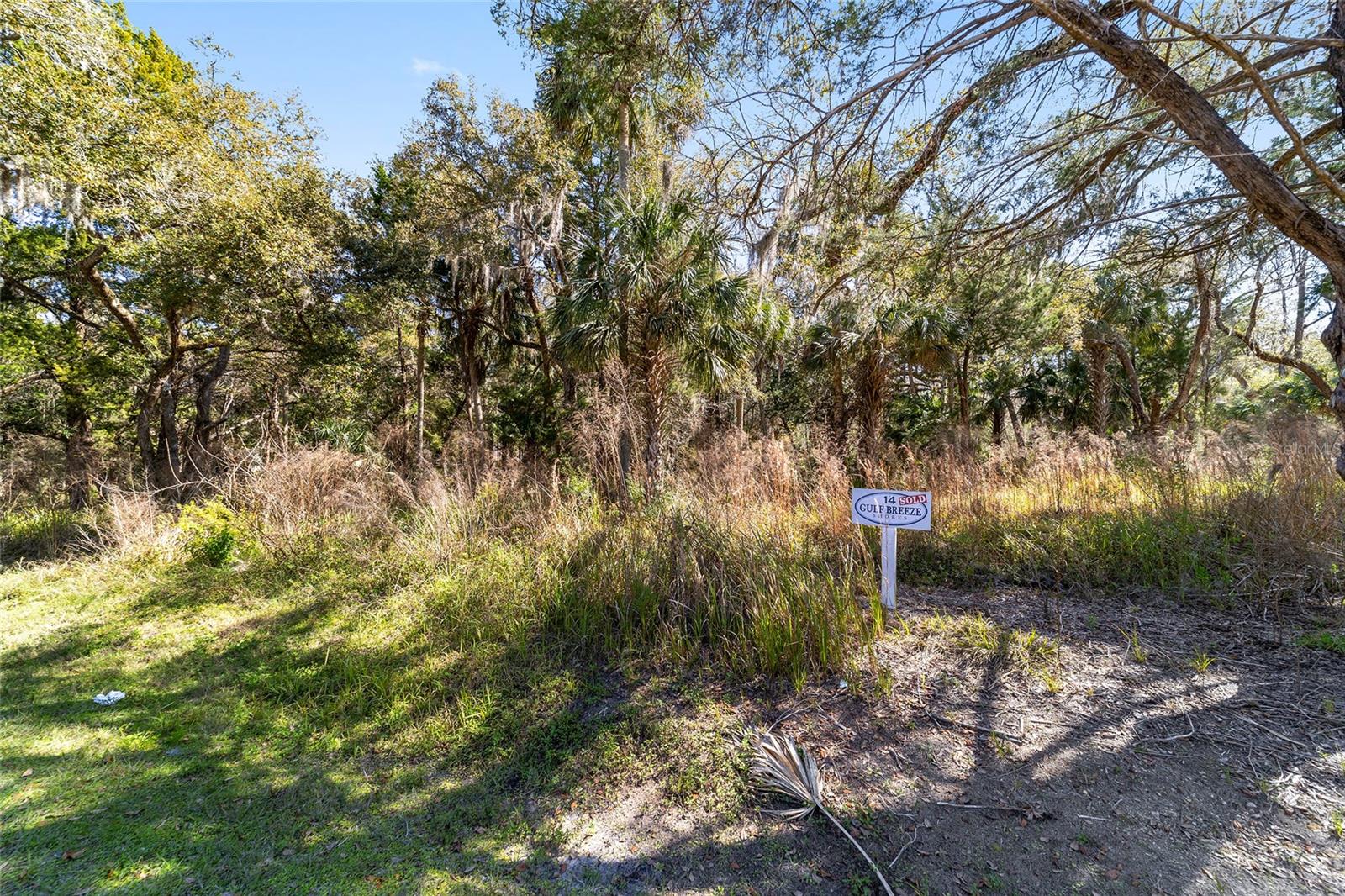 11179 N RIVER WALK PT, INGLIS, FL, 34449