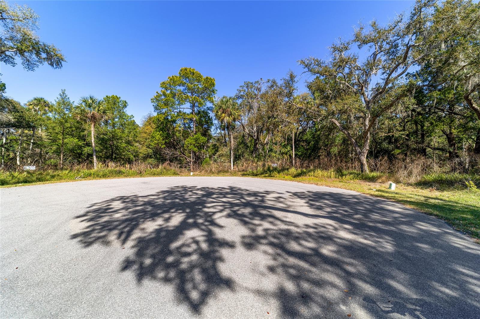 11179 N RIVER WALK PT, INGLIS, FL, 34449