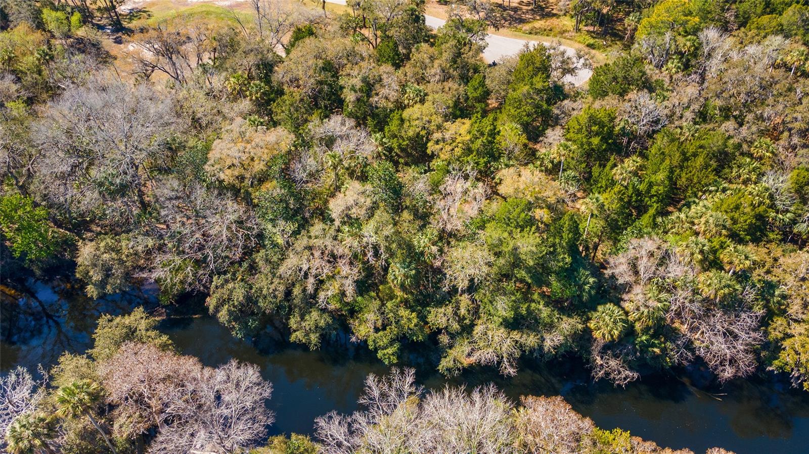 11179 N RIVER WALK PT, INGLIS, FL, 34449